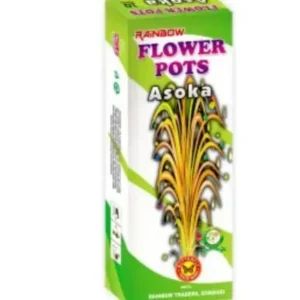 Flower Pot Ashoka